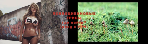 стафф Балахна