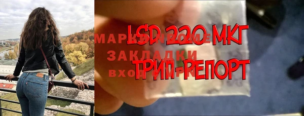 спиды Аркадак