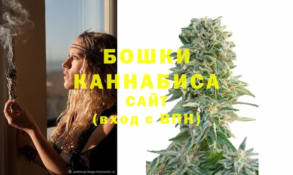 стафф Балахна