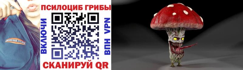 что такое   Ельня  Галлюциногенные грибы мицелий 