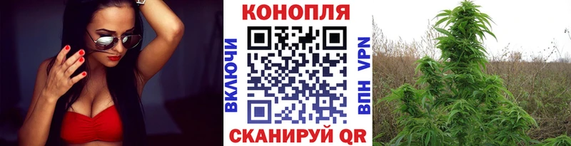Каннабис AK-47  Ельня 